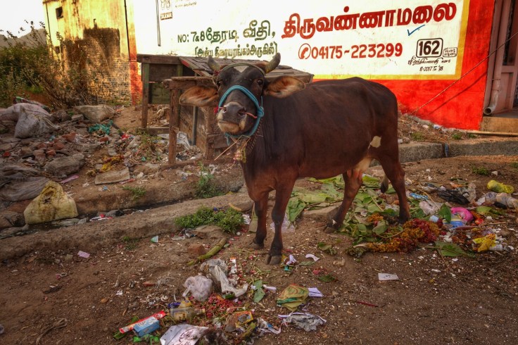 DSC06504-01-2188x1459