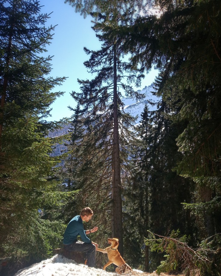 IMG_20200402_160355_638